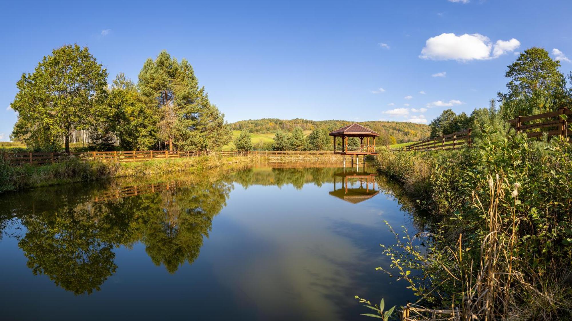 Hotel Glamping Pod Gwiazdami Pietrusza Wola Exterior foto